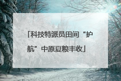 科技特派员田间“护航”中原夏粮丰收
