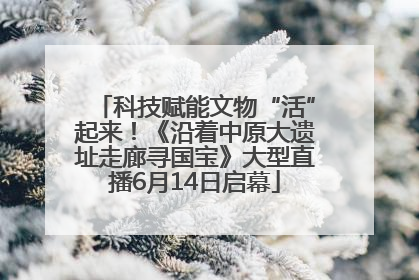 科技赋能文物“活”起来！《沿着中原大遗址走廊寻国宝》大型直播6月14日启幕