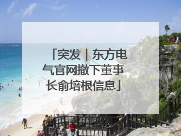 突发｜东方电气官网撤下董事长俞培根信息