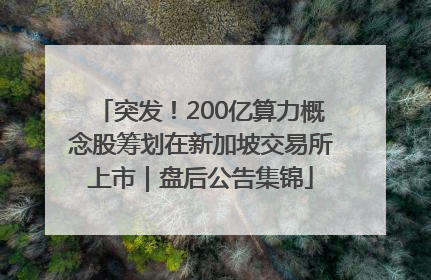 突发！200亿算力概念股筹划在新加坡交易所上市｜盘后公告集锦