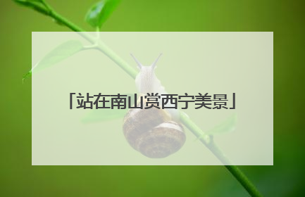 站在南山赏西宁美景