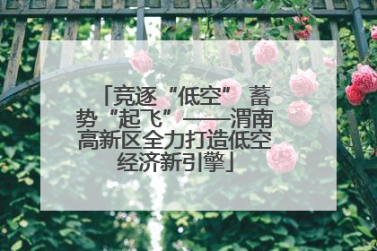 竞逐“低空” 蓄势“起飞”——渭南高新区全力打造低空经济新引擎