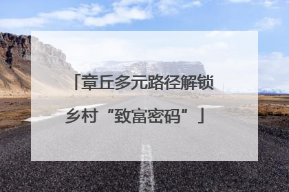 章丘多元路径解锁乡村“致富密码”