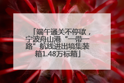 端午通关不停歇，宁波舟山港“一带一路”航线进出境集装箱1.48万标箱