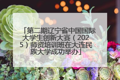 第二期辽宁省中国国际大学生创新大赛（2025）师资培训班在大连民族大学成功举办