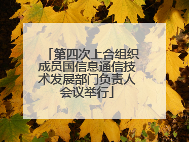 第四次上合组织成员国信息通信技术发展部门负责人会议举行