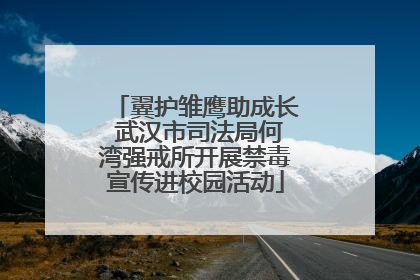 翼护雏鹰助成长 武汉市司法局何湾强戒所开展禁毒宣传进校园活动