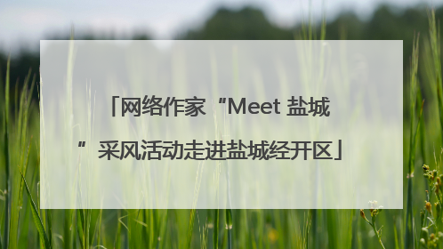 网络作家“Meet 盐城”采风活动走进盐城经开区