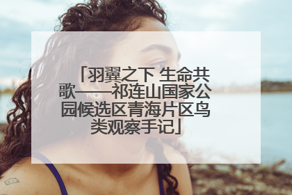 羽翼之下 生命共歌——祁连山国家公园候选区青海片区鸟类观察手记