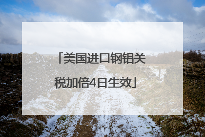 美国进口钢铝关税加倍4日生效