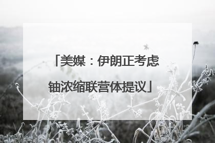 美媒：伊朗正考虑铀浓缩联营体提议