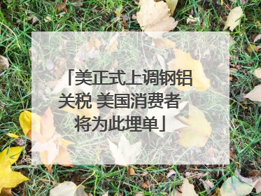 美正式上调钢铝关税 美国消费者将为此埋单