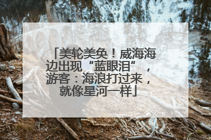 美轮美奂！威海海边出现“蓝眼泪”，游客：海浪打过来，就像星河一样
