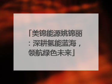 美锦能源姚锦丽：深耕氢能蓝海，领航绿色未来