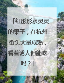 红彤彤水灵灵的果子，在杭州街头大量成熟，看着诱人但能吃吗？