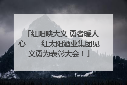 红阳映大义 勇者暖人心——红太阳酒业集团见义勇为表彰大会！