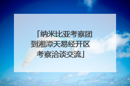 纳米比亚考察团到湘潭天易经开区考察洽谈交流