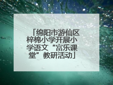 绵阳市游仙区梓棉小学开展小学语文“富乐课堂”教研活动