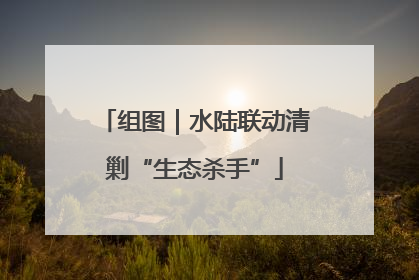 组图｜水陆联动清剿“生态杀手”