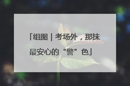 组图｜考场外，那抹最安心的“警”色