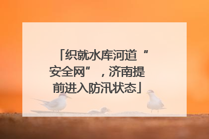 织就水库河道“安全网”，济南提前进入防汛状态