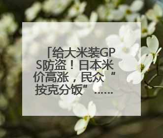 给大米装GPS防盗！日本米价高涨，民众“按克分饭”……还有人去韩国买米