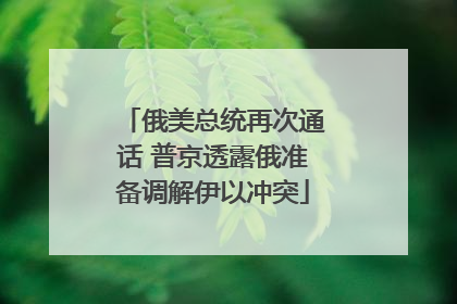 俄美总统再次通话 普京透露俄准备调解伊以冲突