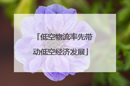 低空物流率先带动低空经济发展