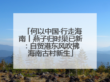 何以中国·行走海南丨燕子归时巢已新：自贸港东风吹拂 海南古村新生