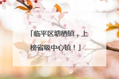 临平区塘栖镇，上榜省级中心镇！