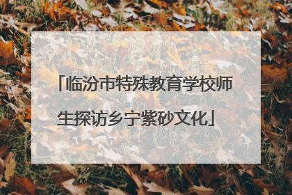 临汾市特殊教育学校师生探访乡宁紫砂文化