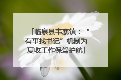 临泉县韦寨镇：“有事找书记”机制为夏收工作保驾护航