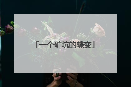 一个矿坑的蝶变