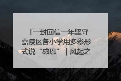 一封回信一年坚守 嘉陵区各小学用多彩形式说“感恩”｜风起之江 扶摇直上