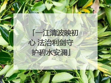 一江清波映初心 法治利剑守护碧水安澜