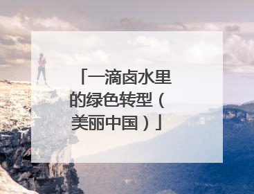 一滴卤水里的绿色转型（美丽中国）