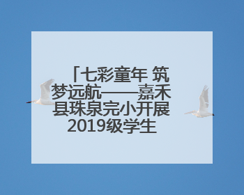 七彩童年 筑梦远航——嘉禾县珠泉完小开展2019级学生毕业典礼活动