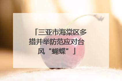 三亚市海棠区多措并举防范应对台风“蝴蝶”