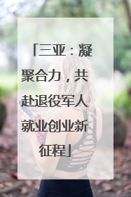 三亚：凝聚合力，共赴退役军人就业创业新征程