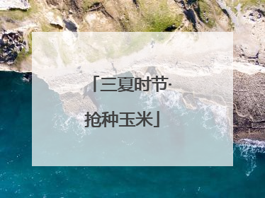三夏时节·抢种玉米
