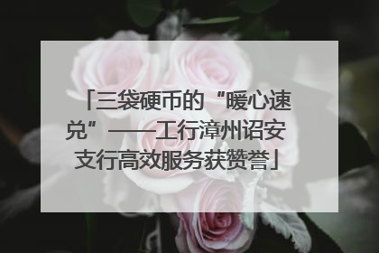 三袋硬币的“暖心速兑”——工行漳州诏安支行高效服务获赞誉