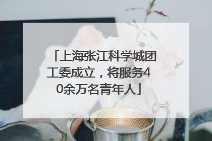 上海张江科学城团工委成立，将服务40余万名青年人