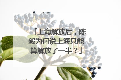 上海解放后，陈毅为何说上海只能算解放了一半？