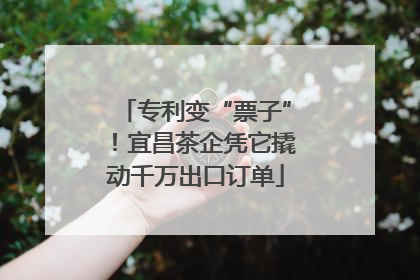 专利变“票子”！宜昌茶企凭它撬动千万出口订单
