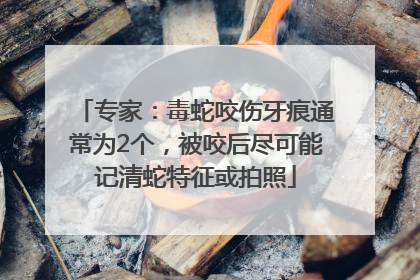 专家：毒蛇咬伤牙痕通常为2个，被咬后尽可能记清蛇特征或拍照
