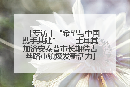 专访丨“希望与中国携手共建”——土耳其加济安泰普市长期待古丝路重镇焕发新活力