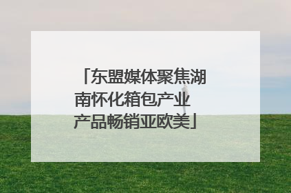东盟媒体聚焦湖南怀化箱包产业 产品畅销亚欧美
