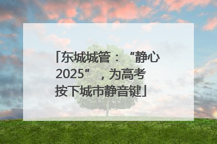 东城城管：“静心2025”，为高考按下城市静音键
