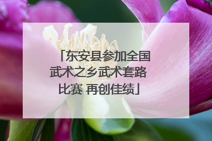 东安县参加全国武术之乡武术套路比赛 再创佳绩