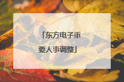 东方电子重要人事调整